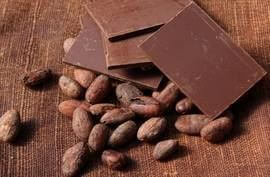 Le chocolat et ses fèves de cacao