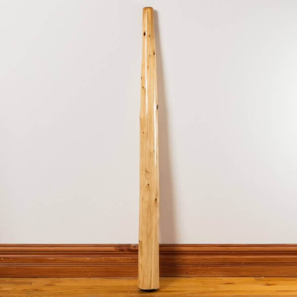 Didgeridoo epinette simple 5