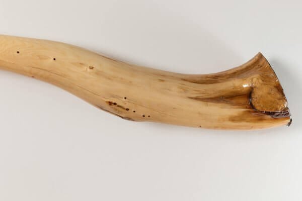 Didgeridoo simple epinette 2