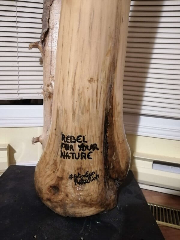 Didgeridoo inspiration Extinction Rébellion en bois de Tirésias, créateur de Didgeridoo au Québec